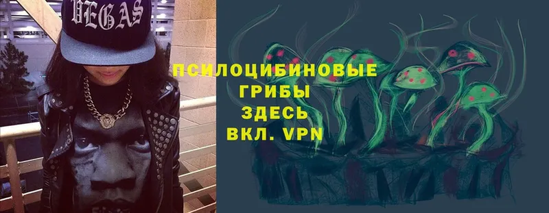 Псилоцибиновые грибы мухоморы  Кинель 